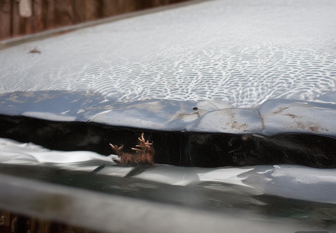 皇马主场告负曼城：欧冠伯纳乌球场传控战术的完胜对决